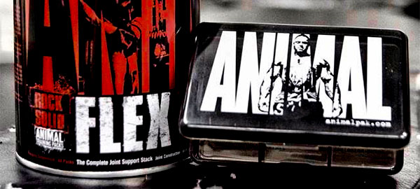 UNIVERSAL NUTRITION ANIMAL FLEX POWDER